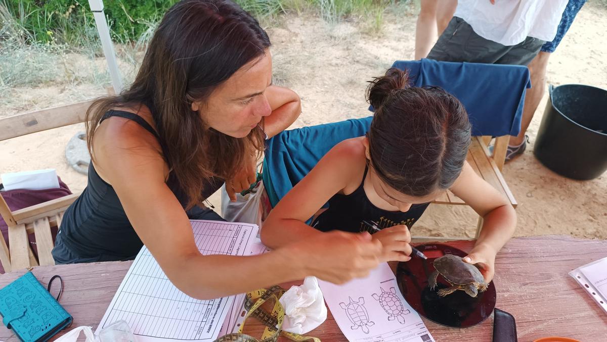 Explicació del projecte i activitats.