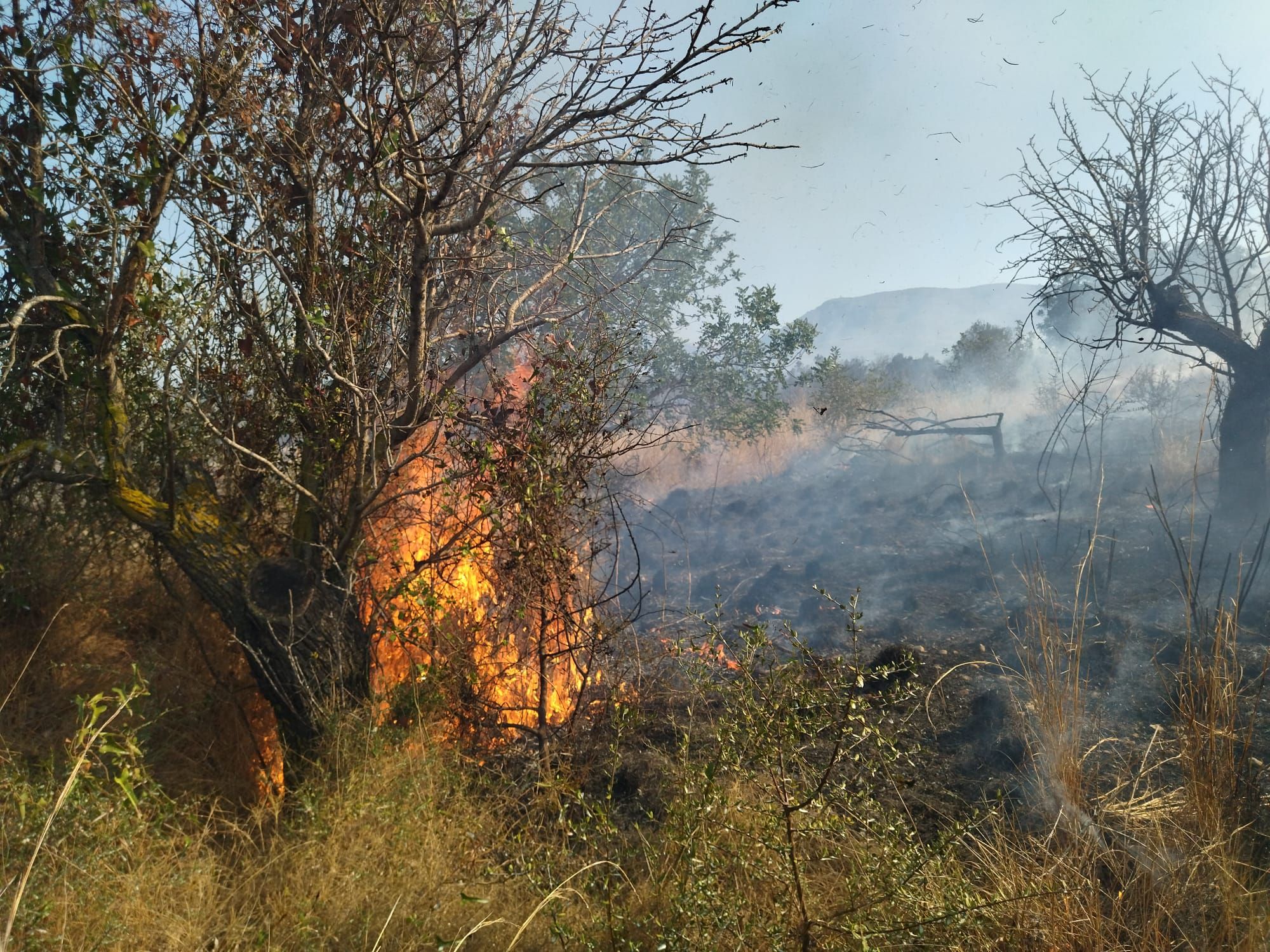 Las imágenes del virulento incendio de Xàbia