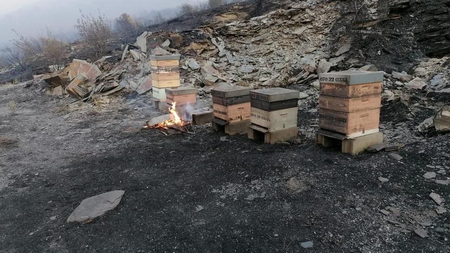 Otras colmenas a las que llegó el incendio.