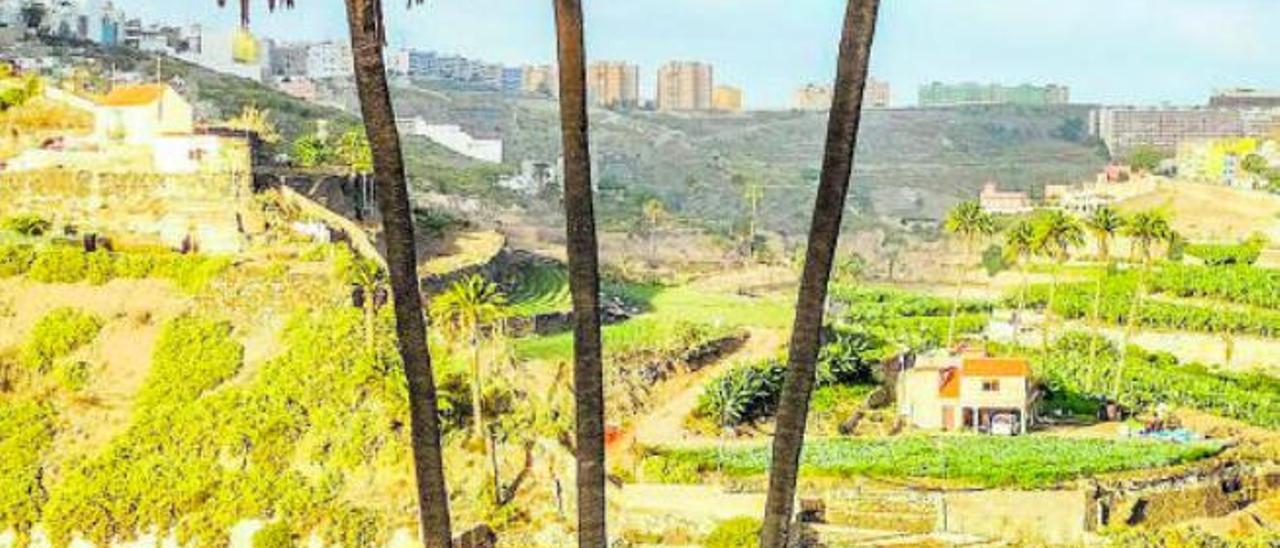 Vista del barranco de Guiniguada, donde hay numerosas fincas agrícolas abandonadas.