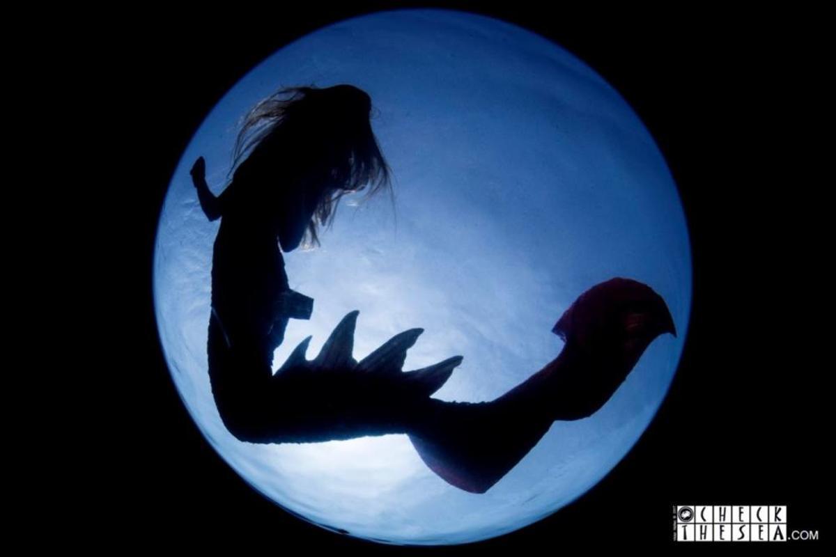 Una sirena en aguas de Tenerife Una sirena en aguas de Tenerife
