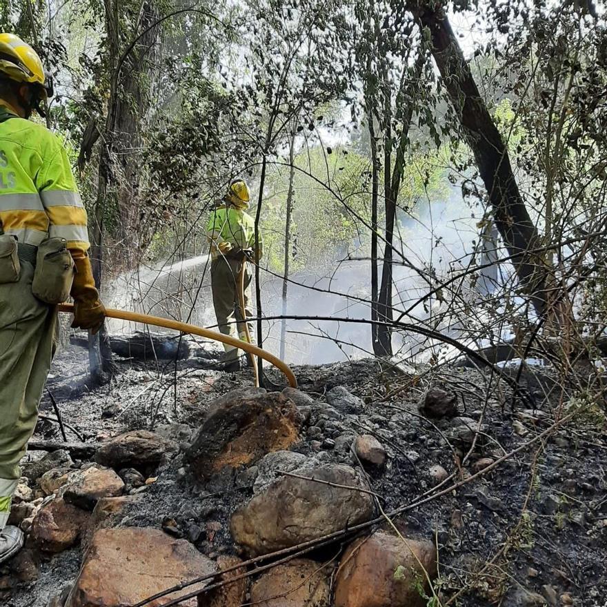 Las brigadas forestales interviniendo en uno de los fuegos declarados el sábado.