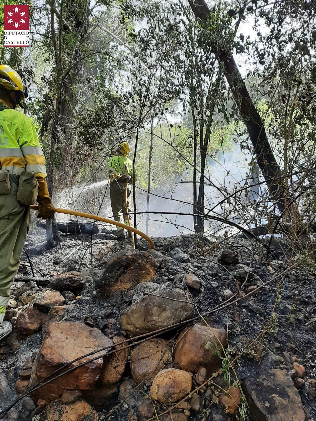 Las brigadas forestales interviniendo en uno de los fuegos declarados el sábado.