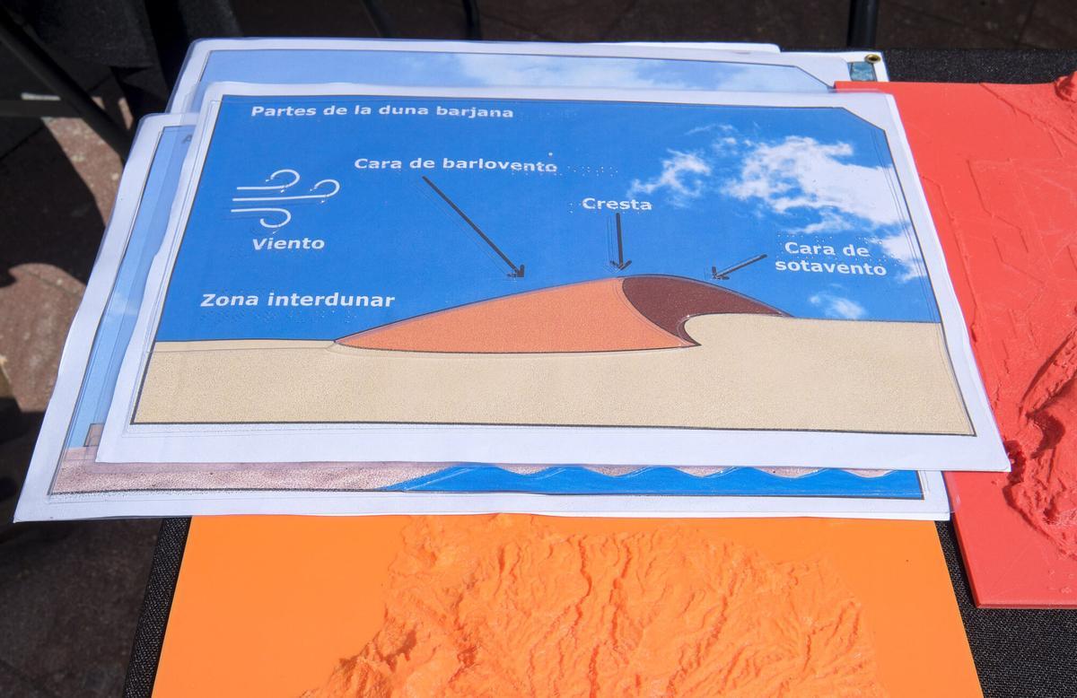 La ULPGC convierte el entorno del Poema del Mar en una gran feria científica al aire libre