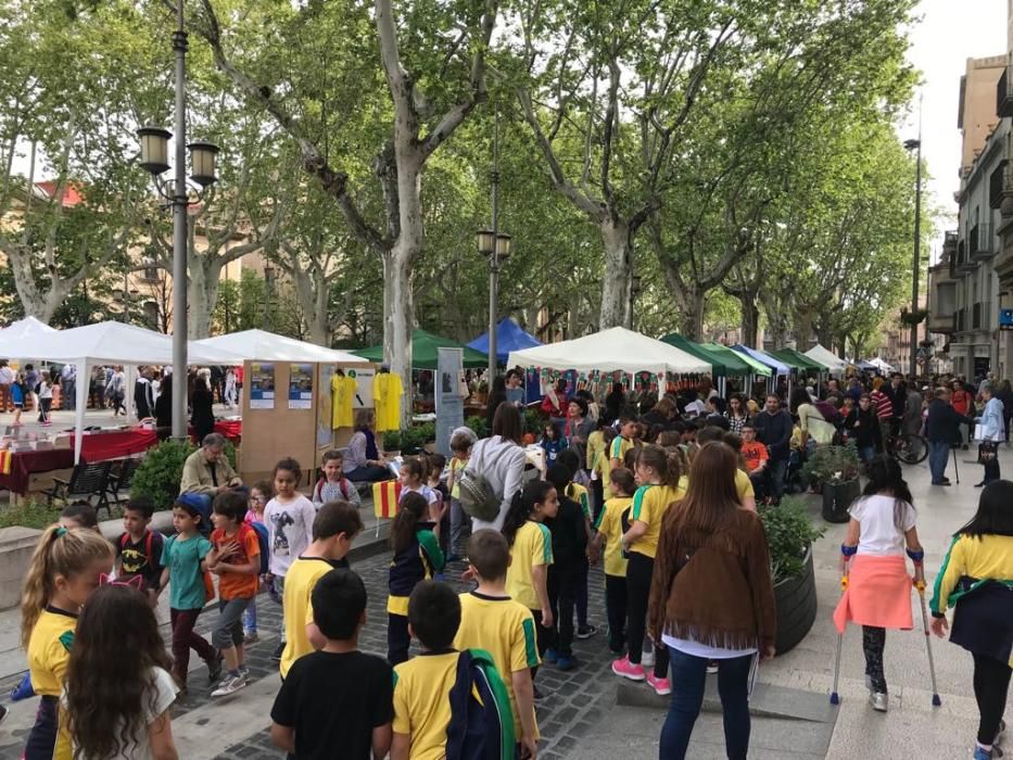 La Diada de Sant Jordi a l''Alt Empordà