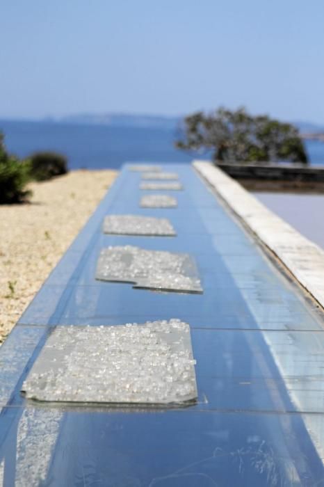 Seit sieben Jahren wächst Dörte Wehmeyers „Garten der Toleranz“ in Cala Llombards.