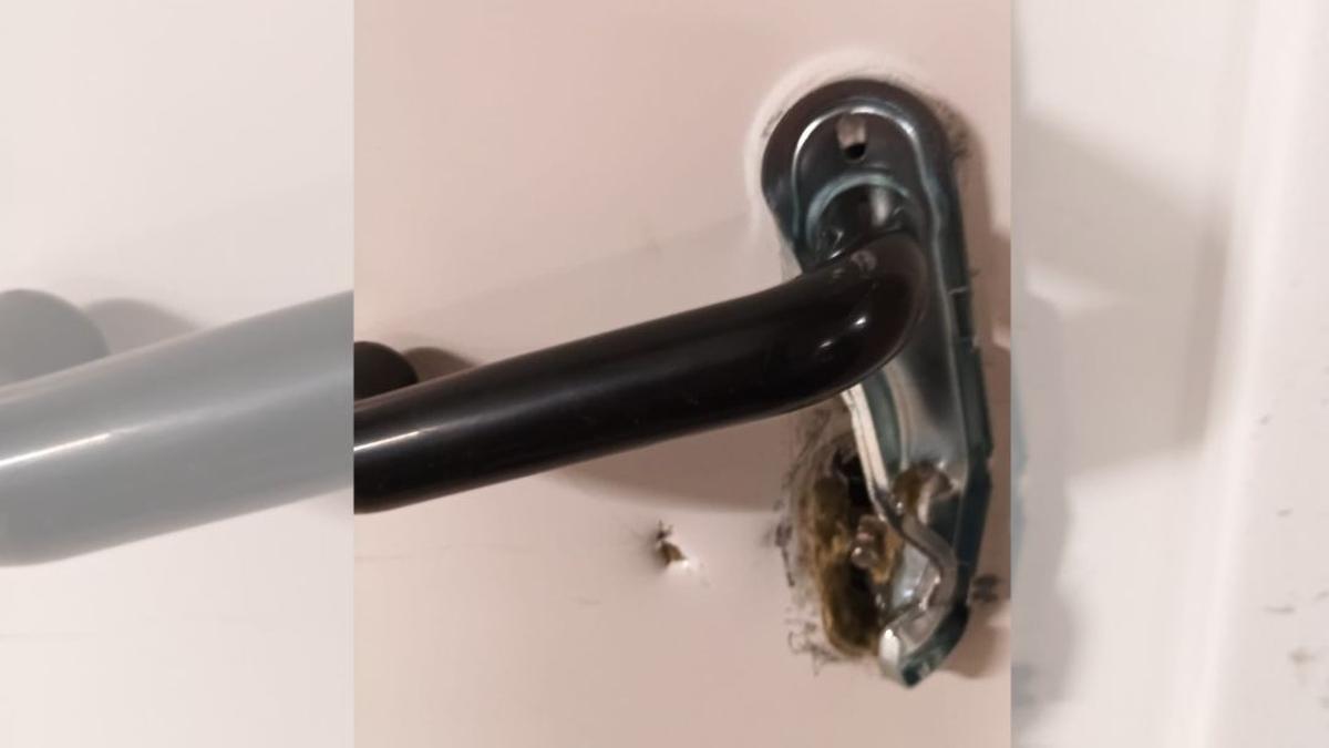 El pany d'un dels trasters del primer bloc violentat al barri de Domeny de Girona.