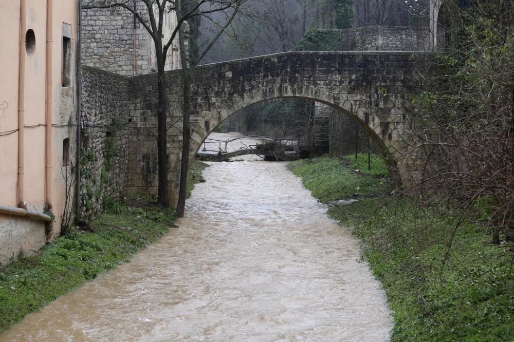 El riu Galligants, al seu pas per Girona