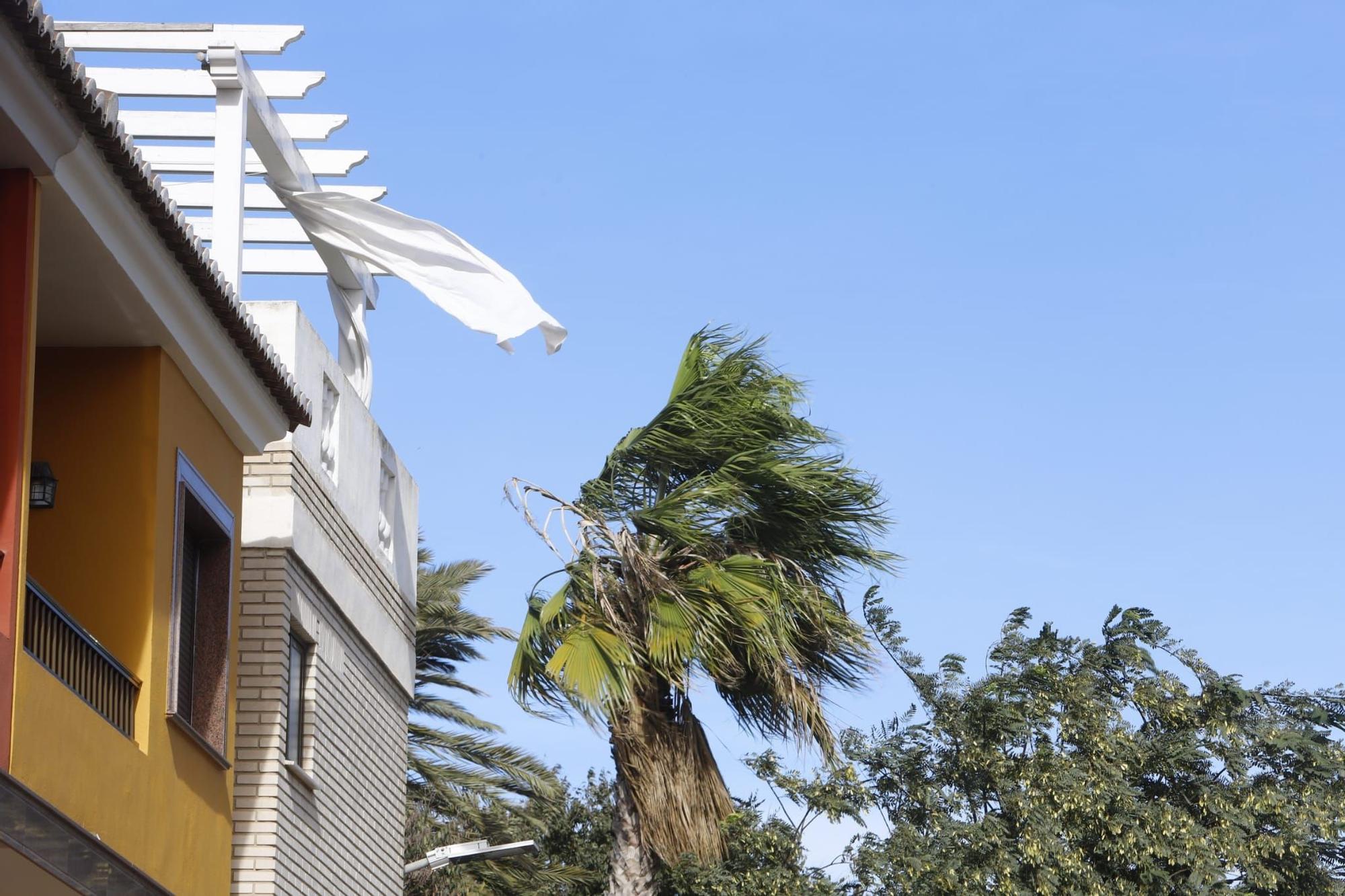 El viento sopla fuerte en Almussafes