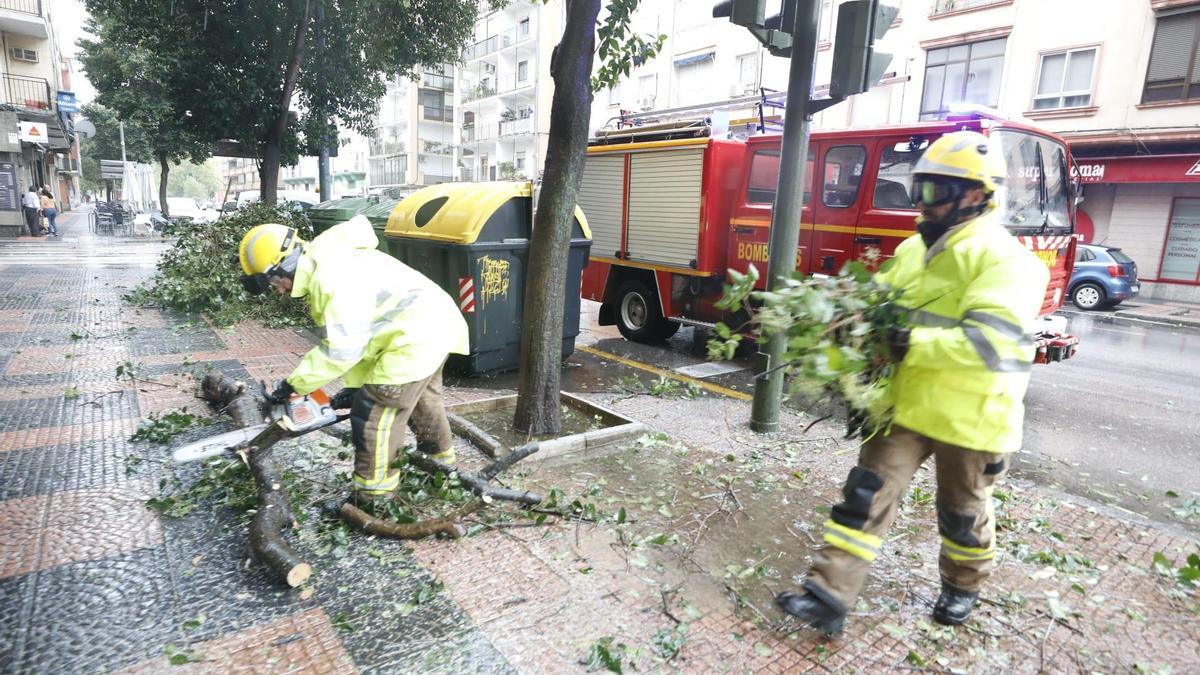 Imagen de la avenida de Alemania de Cáceres.