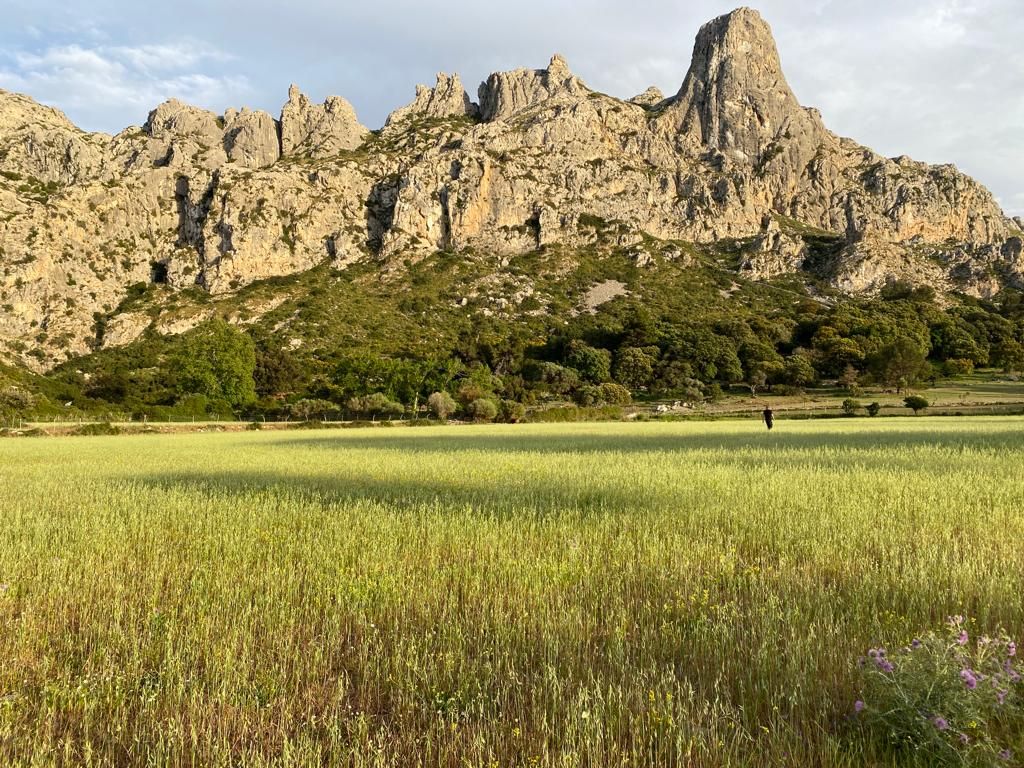 Serra de Tramuntana | La reserva biológica de Ariant, en imágenes