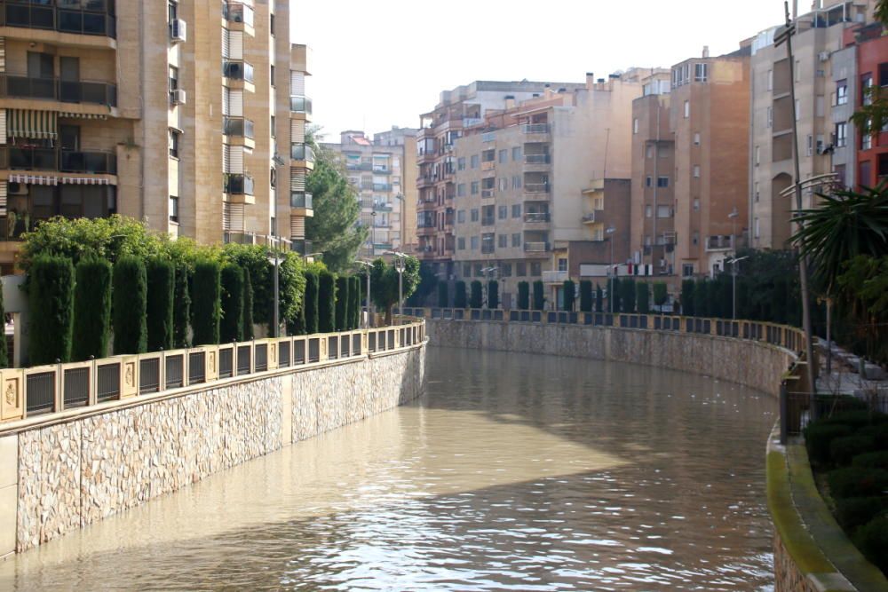 Las precipitaciones han provocado que el río registre un caudal de hasta 53 metros cúbicos por segundo, cuando lo habitual son 3 a su paso por Orihuela