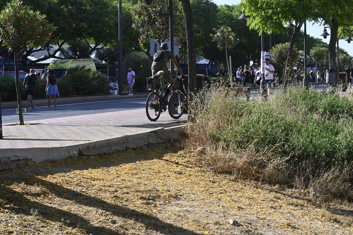 Ambiente de la segunda jornada del Rock Imperium Festival en Cartagena
