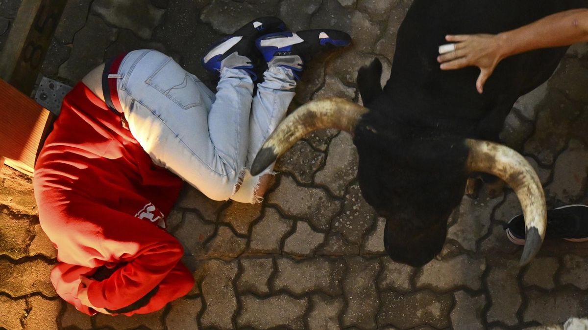 Octavo y último encierro de San Fermín con toros de la ganadería Miura