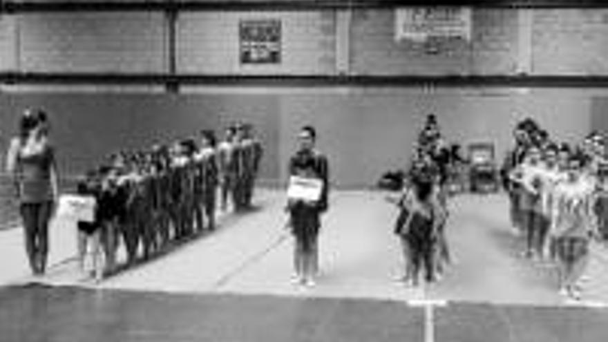 Cita comarcal de patinaje y gimnasia