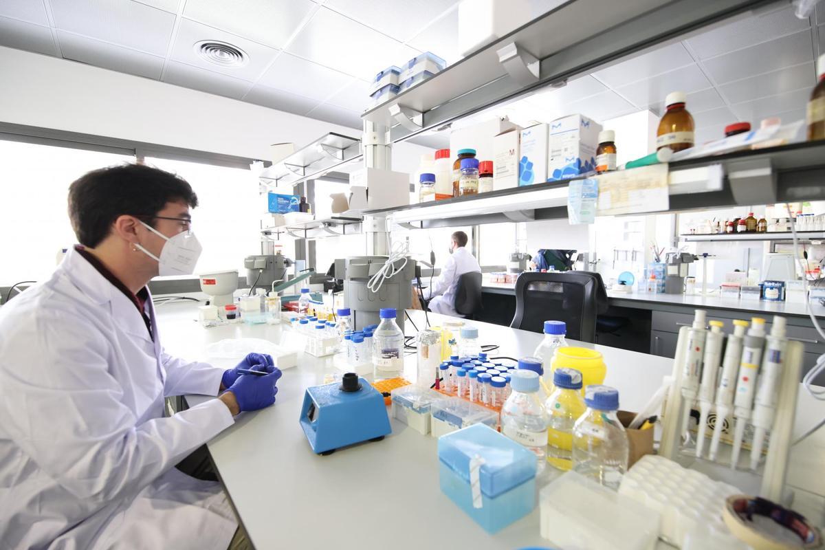 Laboratorios de la empresa biotecnólógica que investiga soluciones a tumores cerebrales