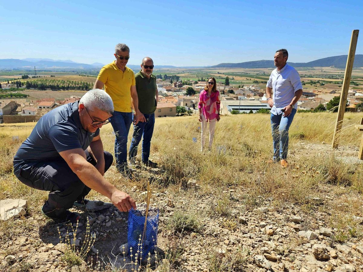 Visita a las actualiciones en el paraje de Las Tosquillas en la pedanía caravaqueña de Barranda
