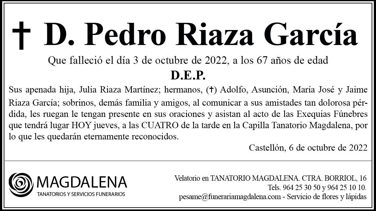 D. Pedro Riaza García