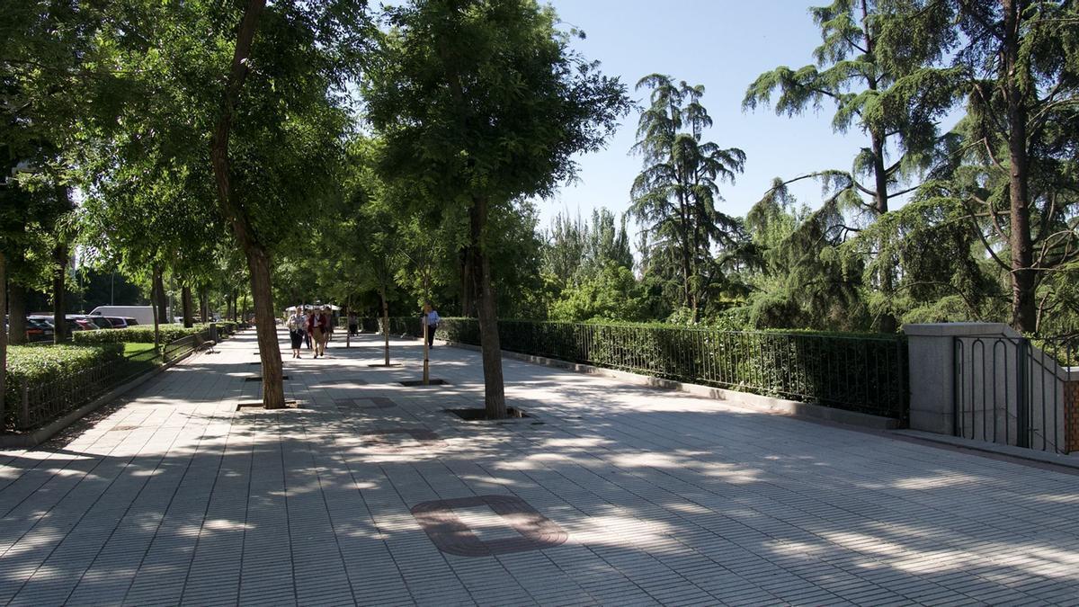 Paseo del Pintor Rosales, una de las zonas más caras de Madrid