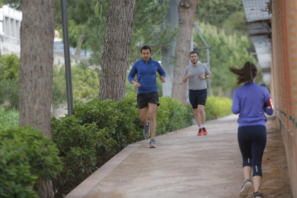 Deportistas en el Paseo Marítimo y en el Jardín del Turia de València