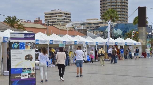 Inauguración de Fimar