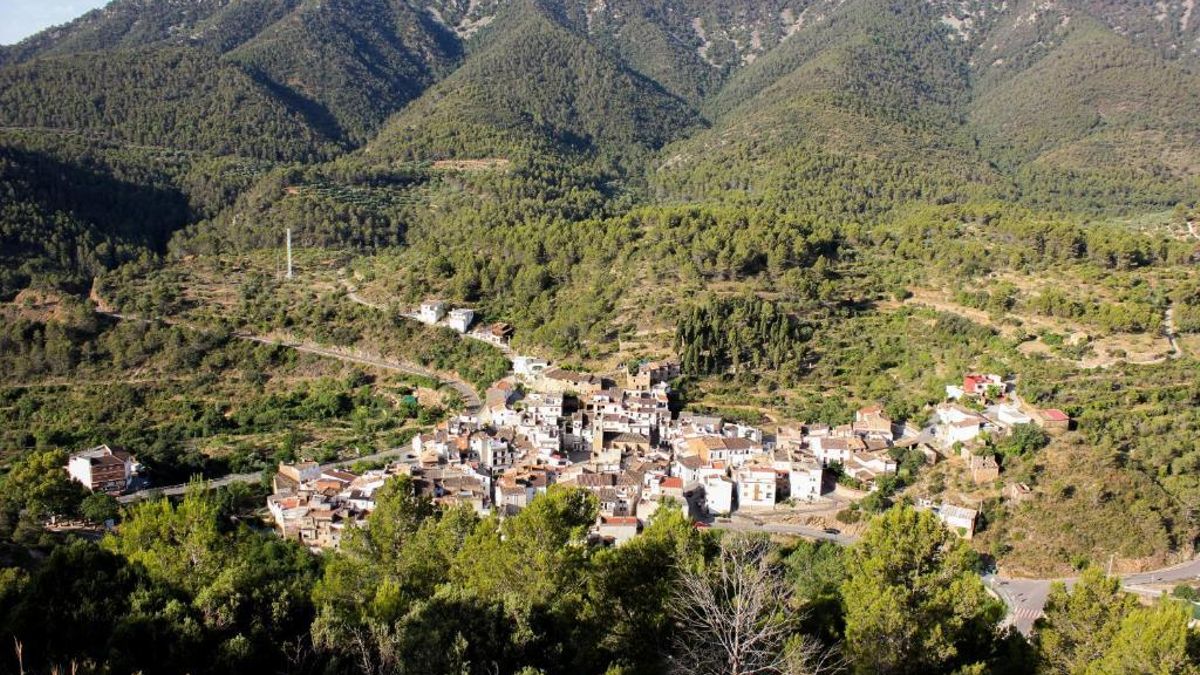 Vista panorámica de Alcudia de Veo.
