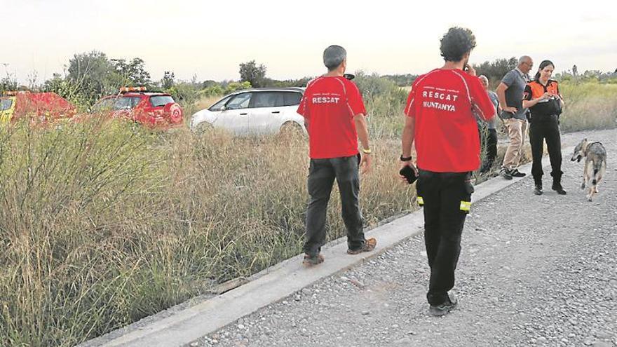 Almassora vigila por si la vaca huida en Burriana ha pasado a su término