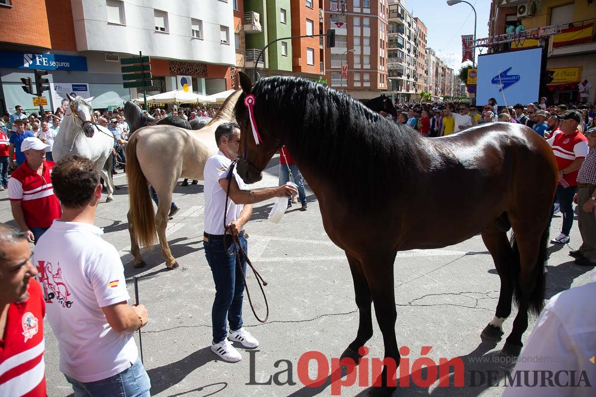 Pasacalles caballos del vino al hoyo