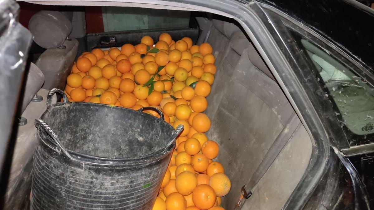 Interior del automóvil, repleto de naranjas.