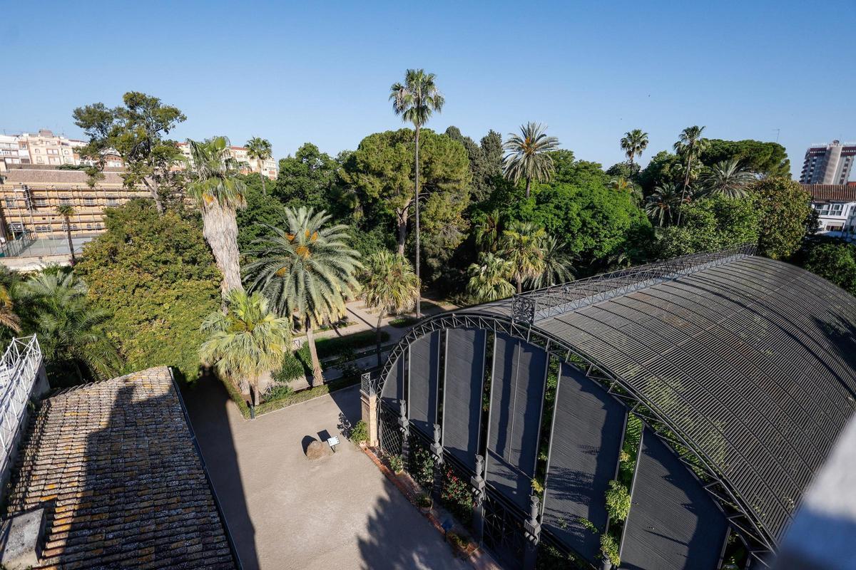 El Jardín Botánico de València está de moda