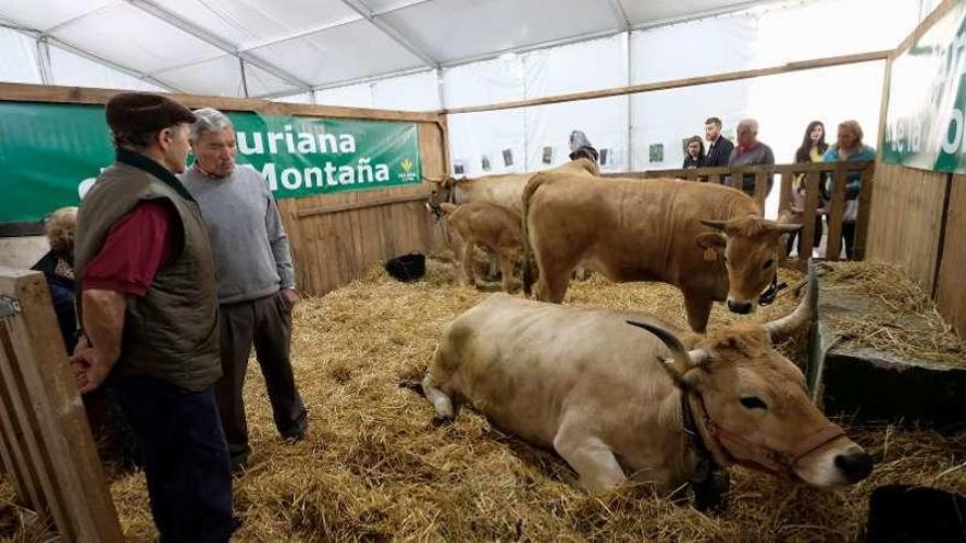 La muestra de razas autóctonas