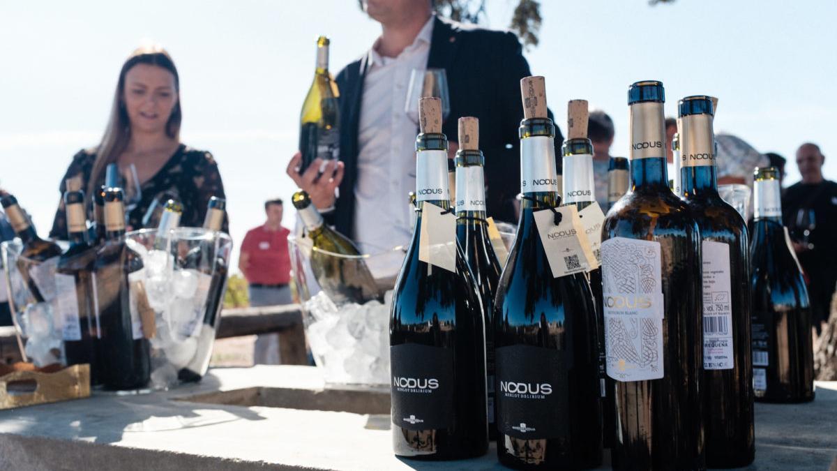 Vinos Nodus.