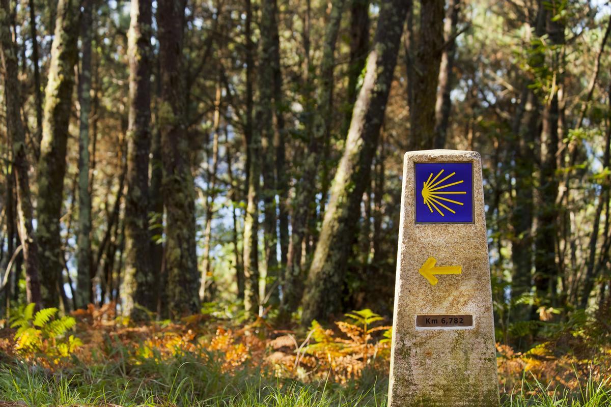 Camino de Santiago