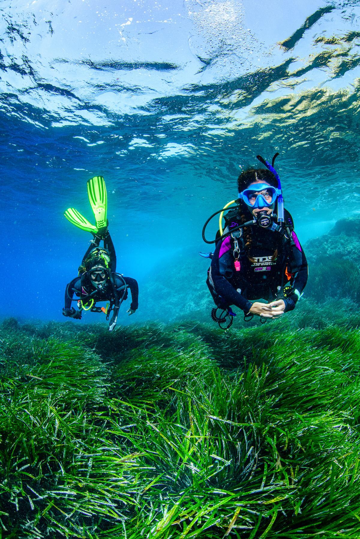 La pradera de posidonia oceánica es fundamental para mantener la calidad de las aguas ibicencas.