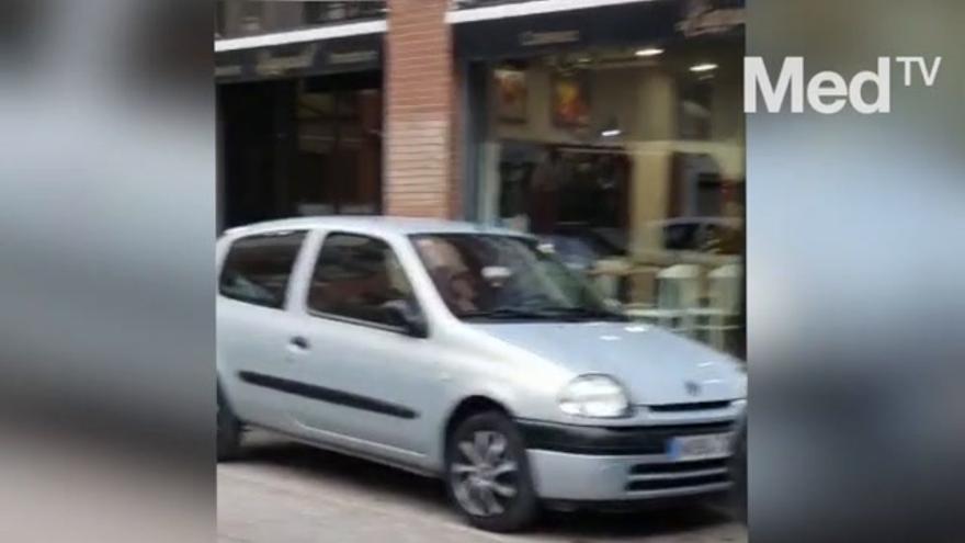 Castelló amanece con los cerdos vietnamitas campando a sus anchas por sus céntricas calles