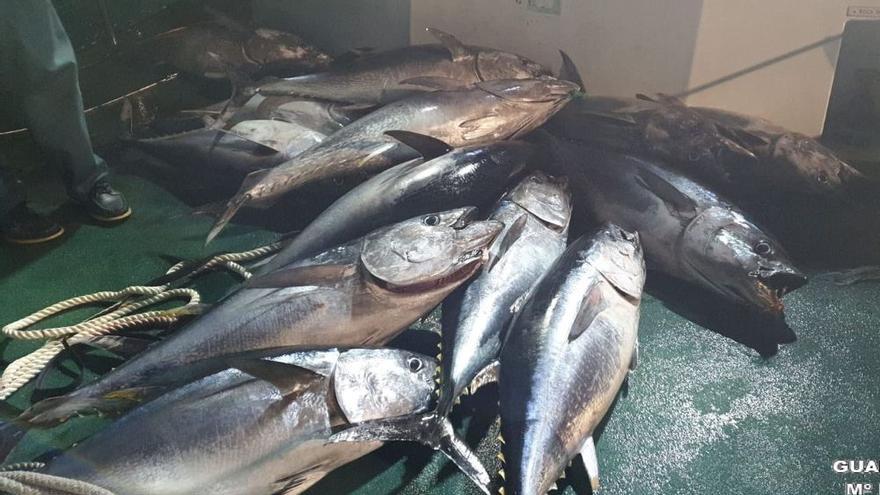 El Hierro demanda un aumento de la cuota del atún rojo - El Día