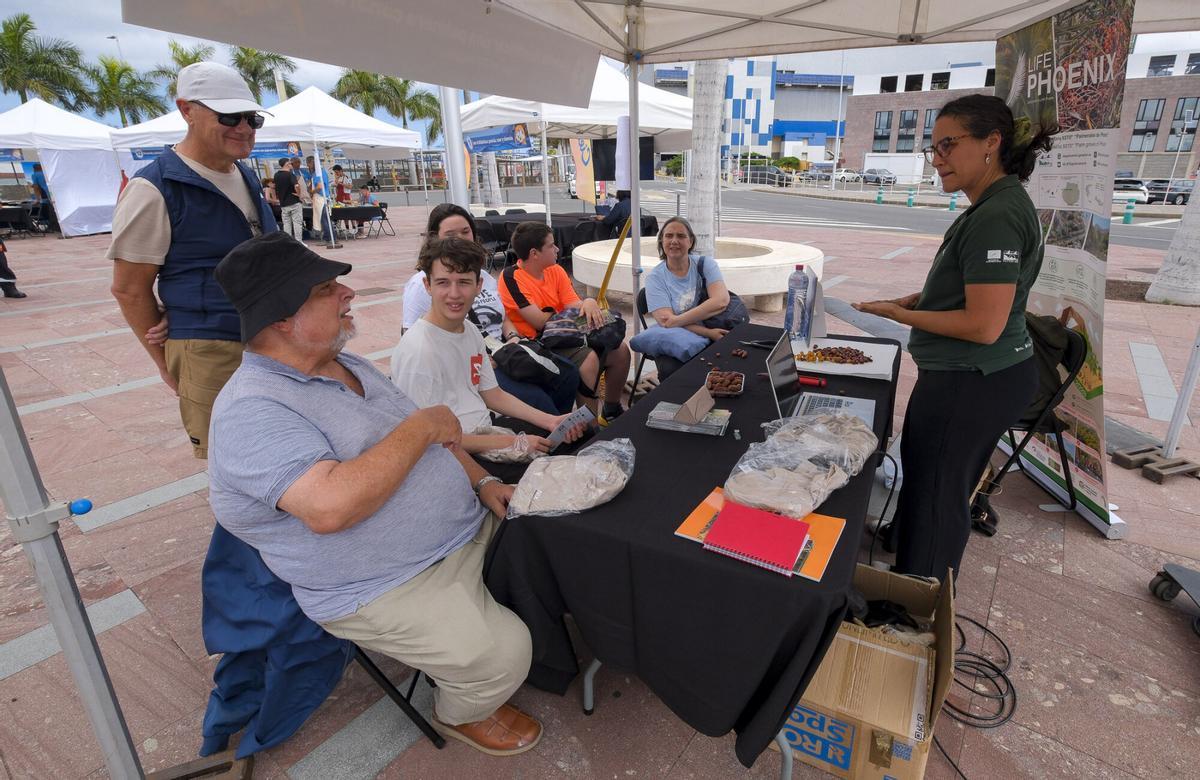 La ULPGC convierte el entorno del Poema del Mar en una gran feria científica al aire libre