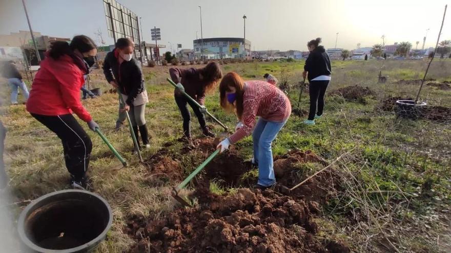 El Anillo Verde de Almendralejo sufre nuevos episodios de vandalismo