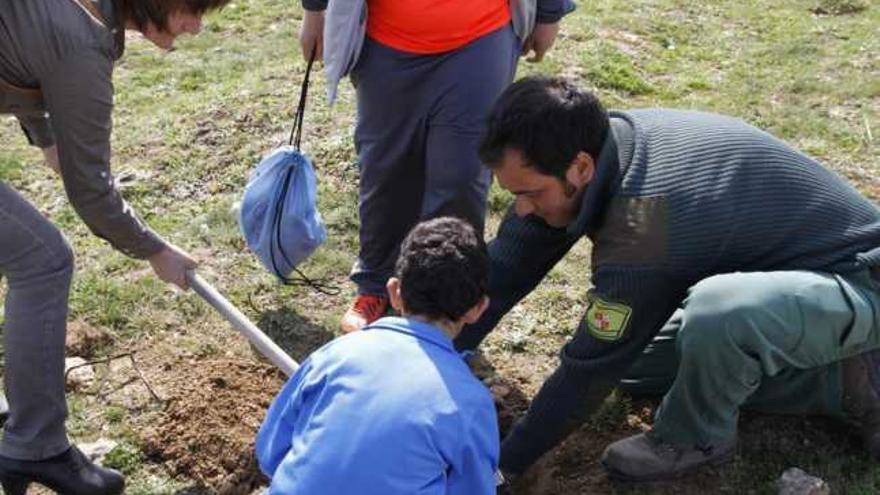 Alumnos del colegio Tierras de Sayago plantan árboles en la zona arrasada por el incendio