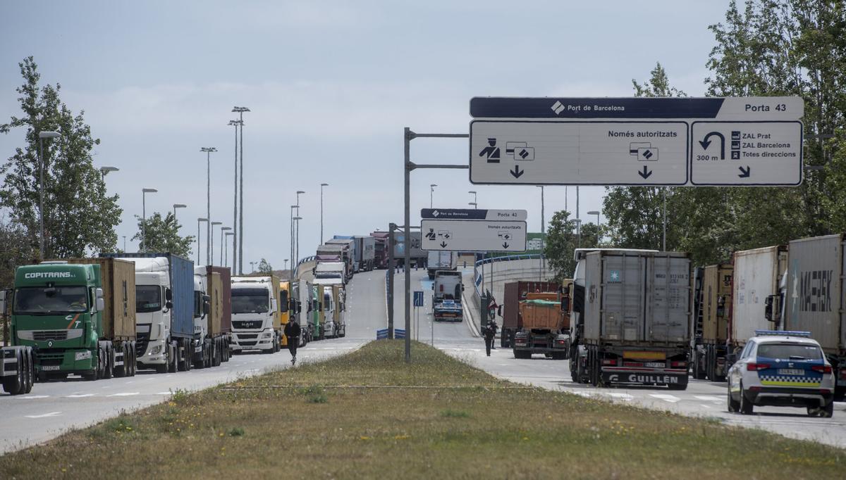 Cola de camiones para acceder al Port de Barcelona.