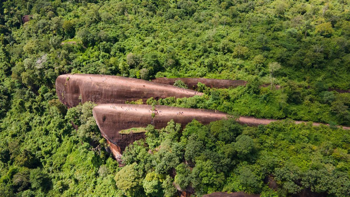 Se estima que tienen alrededor de 75 millones de años