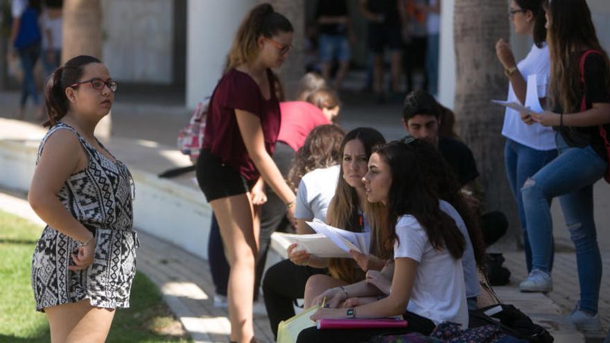 Universitarios en el campus de Alicante