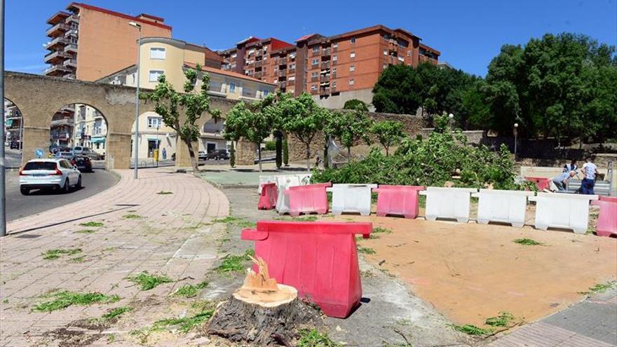 Primeros trabajos ante los pinos