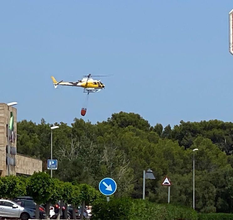 Alarma por un incendio en un bosque de la urbanización Puig de Ros, en Llucmajor