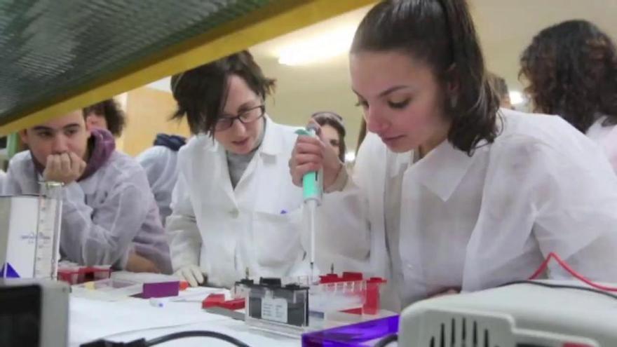 Más de 1.700 alumnos de institutos se ponen la bata para investigar en laboratorios de la UA