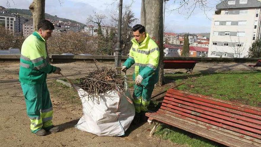 Operarios recogen ramas de árboles en un parque. // Iñaki Osorio