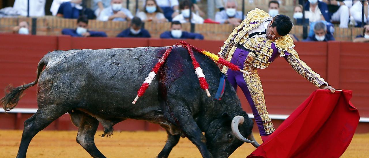 Emilio de Justo cortó dos merecidas orejas a este toro de Victorino Martín en la pasada Feria de San Miguel en Sevilla.