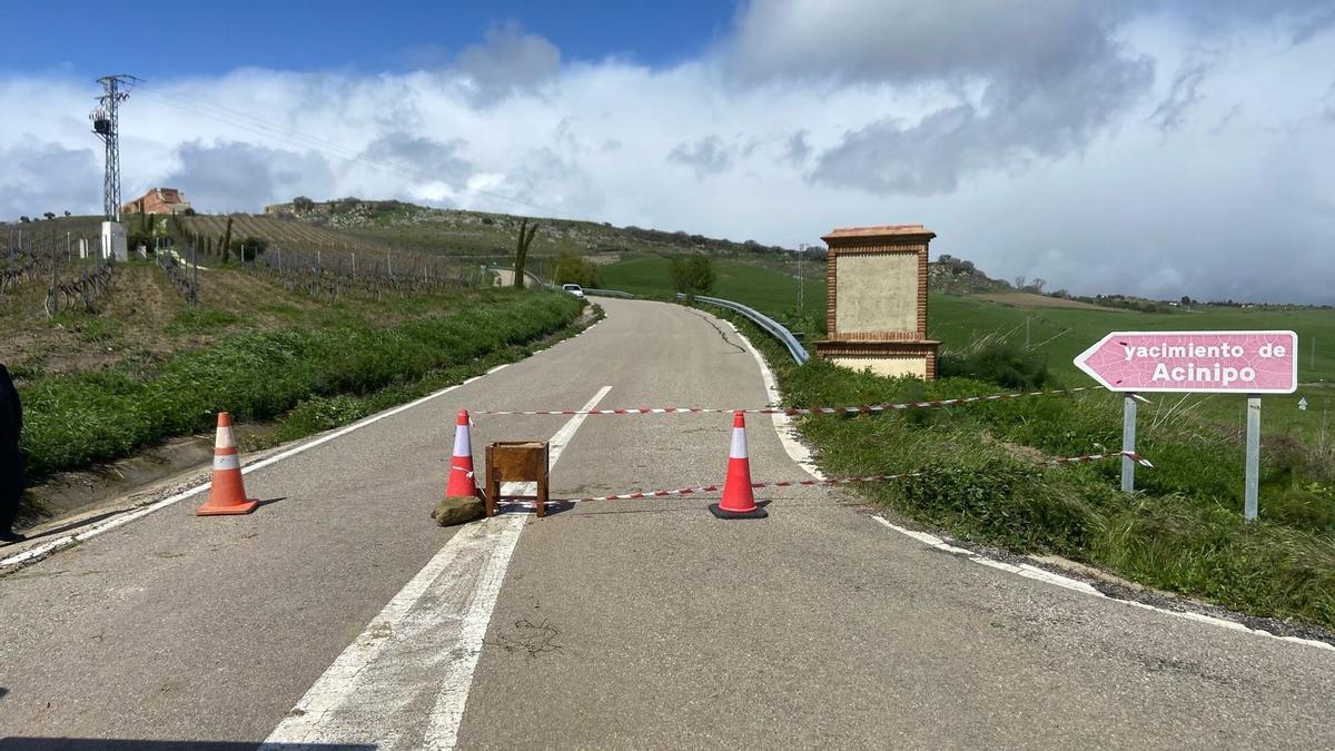 Los equipos de conservación de carreteras de la Diputación de Málaga ya han estado en el lugar y han balizado y efectuado el corte de la vía.