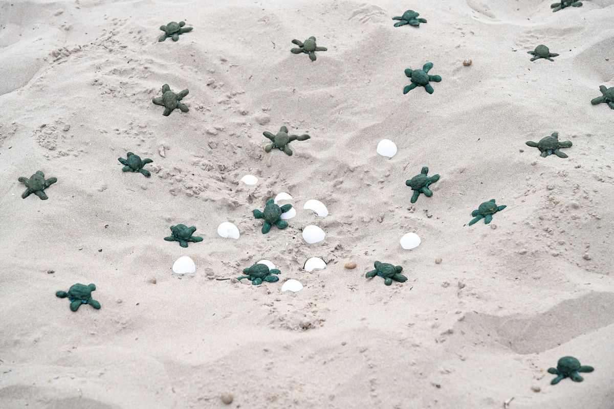 La acción artística con unas 300 tortugas esculturales se cerró con una clase magistral sobre protección del medio marino