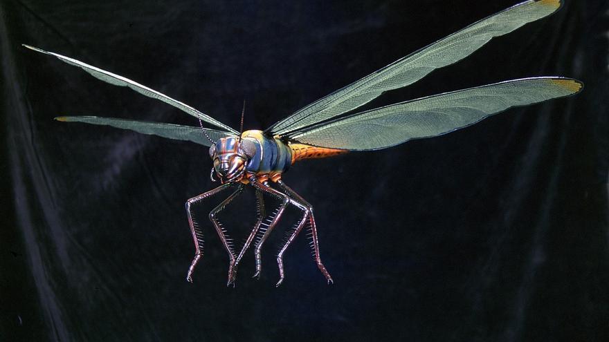 Así era el enorme insecto que vivió en la Tierra: un gigante prehistórico